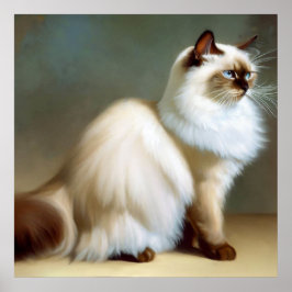 Birman Cat Poster