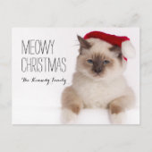 Birman Cat Santa Feestdagenkaart (Voorkant)