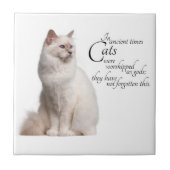 Birman Cat Tile Tegeltje (Voorkant)