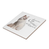 Birman Cat Tile Tegeltje (Zijkant)