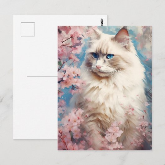 Birman Kattenbloemen Briefkaart (Voorkant / Achterkant)