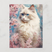 Birman Kattenbloemen Briefkaart (Voorkant)