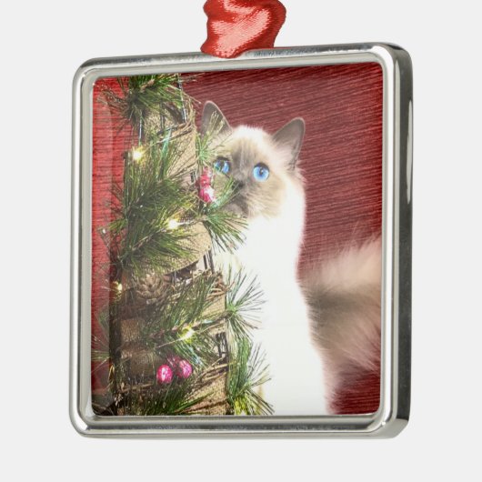 Birman kerstboomversiering metalen ornament (Links)