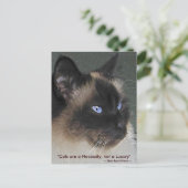 BIRMAN RAGDOLL CAT-Collectie Briefkaart (Staand voorkant)
