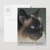 BIRMAN RAGDOLL CAT-Collectie Briefkaart (Voorkant / Achterkant)