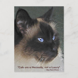 BIRMAN RAGDOLL CAT-Collectie Briefkaart