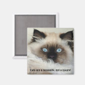 Birman - Ragdoll Cat Lover Magnet (Voorkant / Achterkant)