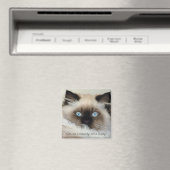 Birman - Ragdoll Cat Lover Magnet (Insitu (Vaatwasser))