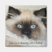 Birman - Ragdoll Cat Lover Magnet (Voorkant)