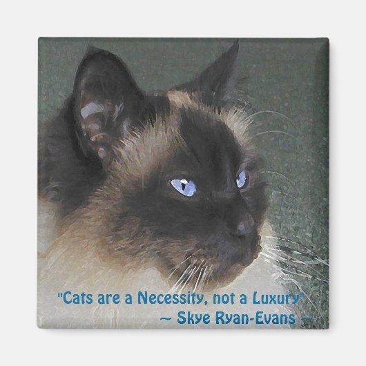 BIRMAN RAGDOLL CAT Magnet-serie Magneet (Voorkant)