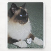 BIRMAN - RAGDOLL CAT Mousepad Muismat (Voorkant)