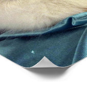 Birman, rood punt poster (Hoek)