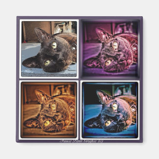 Birmees afgesneden magneet