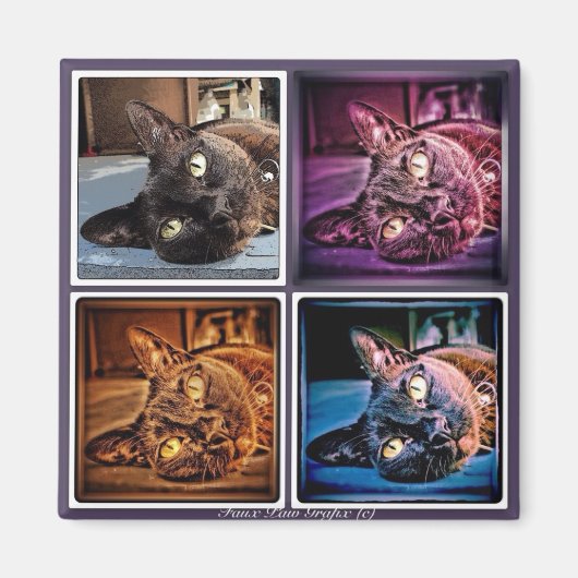 Birmees afgesneden magneet (Voorkant)