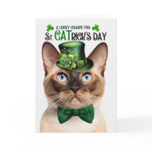 Birmees Kat Grappig St CATrick's Day Lucky Charm