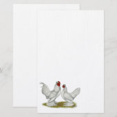 Birmese bantams briefpapier (Voorkant / Achterkant)