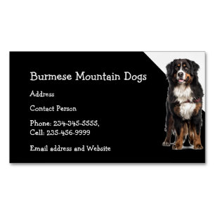 Birmese bergen — Dogs Breeder Pet Sitter Business Magnetisch Visitekaartje
