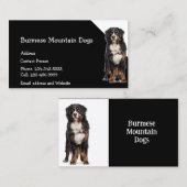 Birmese bergen — Dogs Breeder Pet Sitter Visitekaartje (Voorkant / Achterkant)
