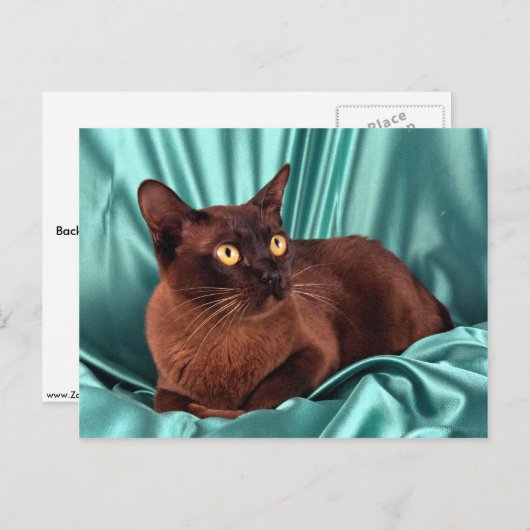 Birmese, bruin briefkaart (Voorkant / Achterkant)