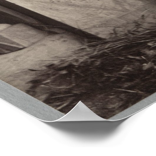 Birmese dame poster (Hoek)