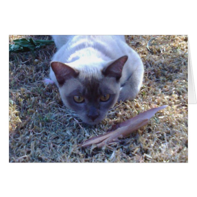 Birmese kaartje (Voorkant Horizontaal)