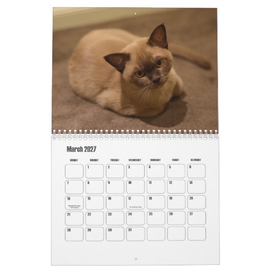 Birmese kalender (Mar 2027)