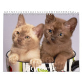 Birmese kalender (Hoes)