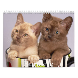 Birmese kalender