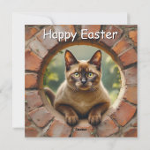 Birmese kat - Paasvakantie Kaart (Achterkant)