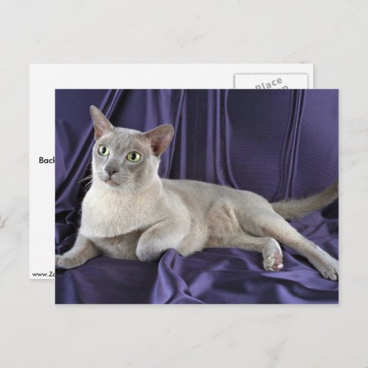 Birmese, lila briefkaart (Voorkant / Achterkant)