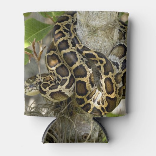 Birmese Python Blikjeskoeler (Voorkant)