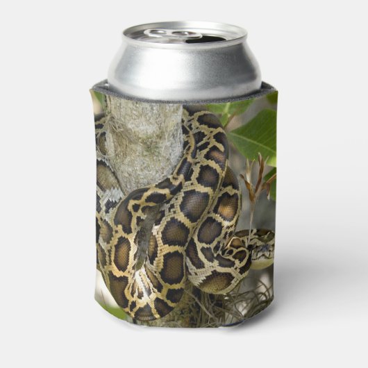 Birmese Python Blikjeskoeler (Blikje Achterkant)