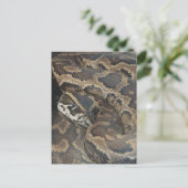 Birmese Python Briefkaart (Staand voorkant)