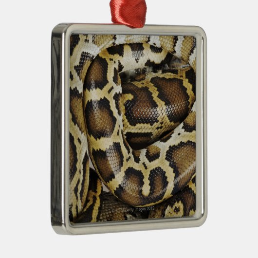 Birmese python metalen ornament (Rechts)