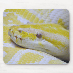 Birmese python muismat