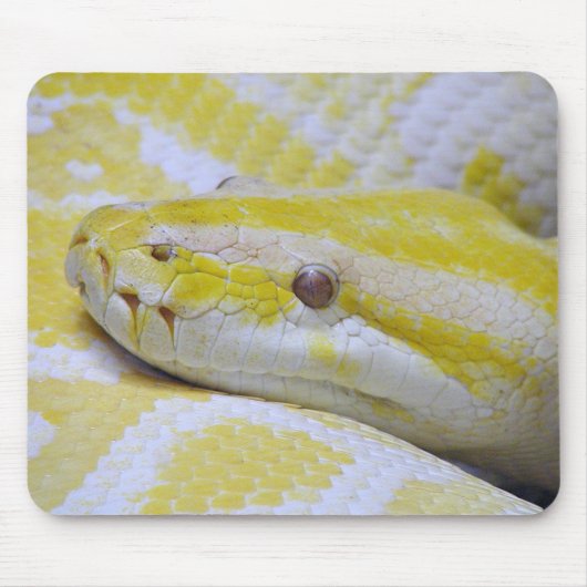 Birmese python muismat (Voorkant)