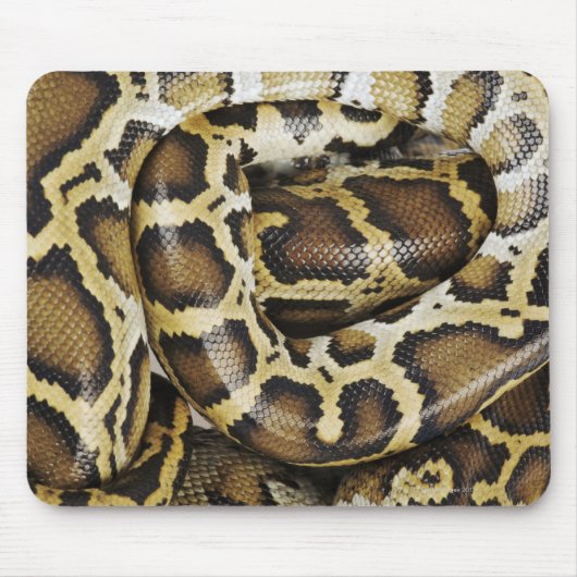 Birmese python muismat (Voorkant)