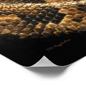 Birmese Python Poster (Hoek)