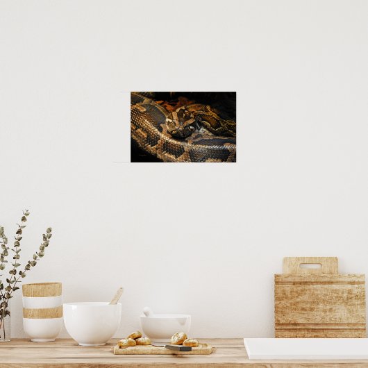 Birmese Python Poster (Keuken)