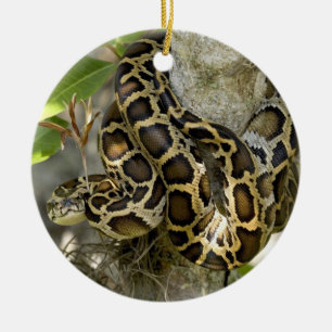 Birmese Python Snake in een boom Keramisch Ornament