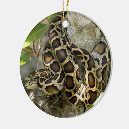Birmese Python Snake in een boom Keramisch Ornament (Links)