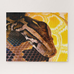 Birmese Python Snake Legpuzzel