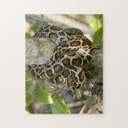 Birmese Python Snake Legpuzzel (Verticaal)