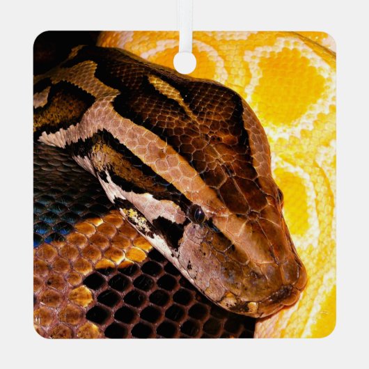 Birmese Python Snake Metalen Ornament (Achterkant)
