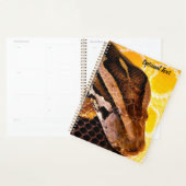 Birmese Python Snake Planner (Display)