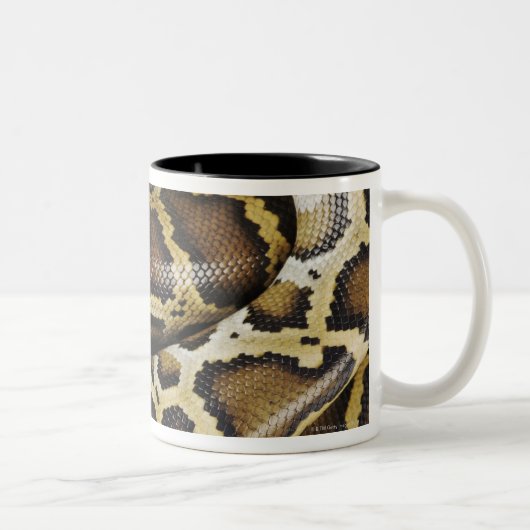 Birmese python tweekleurige koffiemok (Rechts)