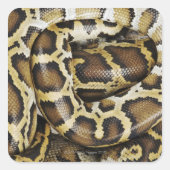 Birmese python vierkante sticker (Voorkant)