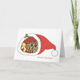 Birmese Star Tortoise Christmas Kaart (kerstmuts)
