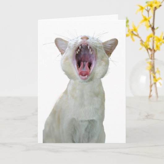 Birmese verjaardagskaart voor katten kaart (Gele Bloem)