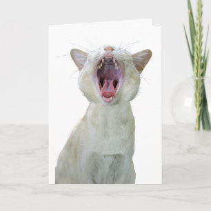 Birmese verjaardagskaart voor katten kaart